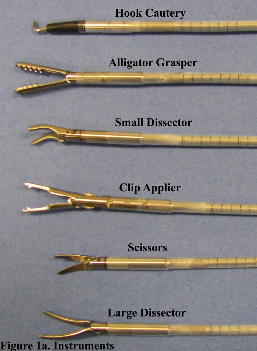 Laparoscopic Cholecystectomy Instruments